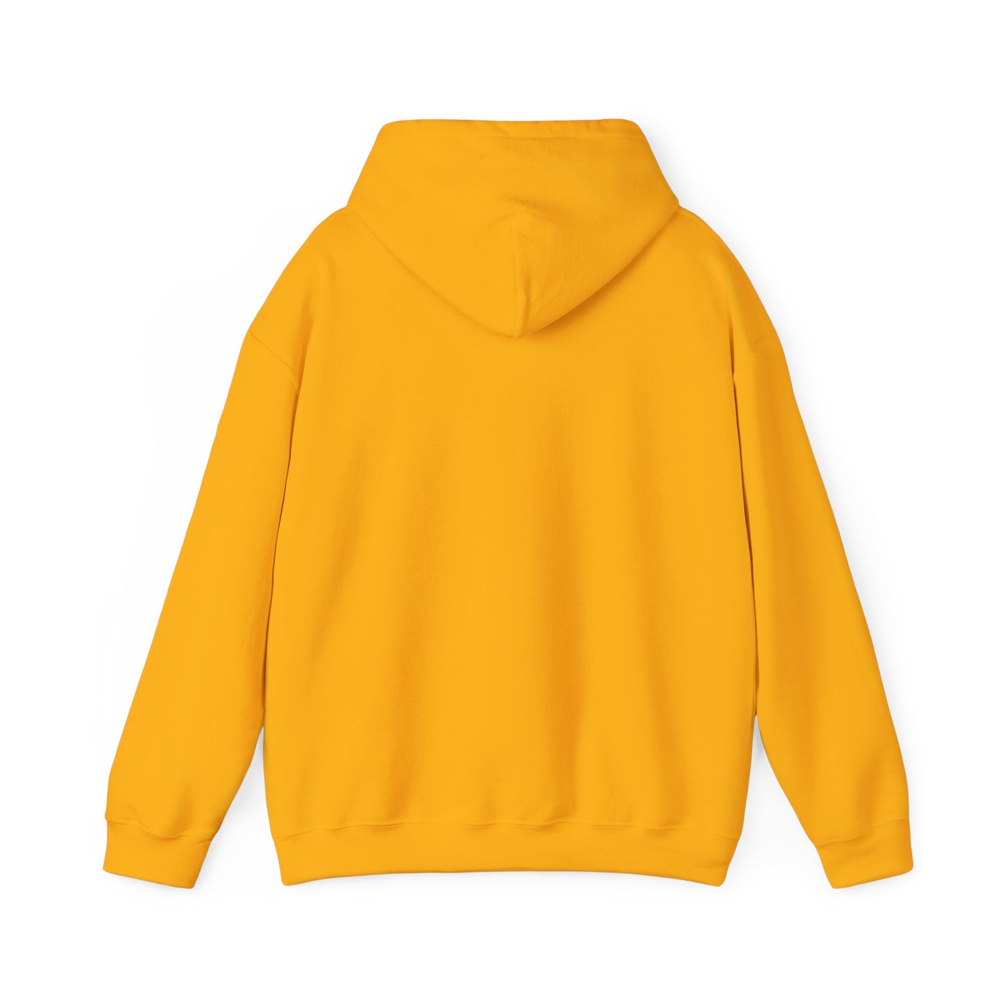 Inspirational Lion Hoodie - Perfect for Spiritual Leaders, Ministry Events, Gifts, Comfort Wear, Casual Outings