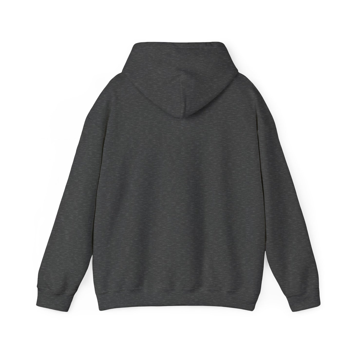 Inspirational Lion Hoodie - Perfect for Spiritual Leaders, Ministry Events, Gifts, Comfort Wear, Casual Outings