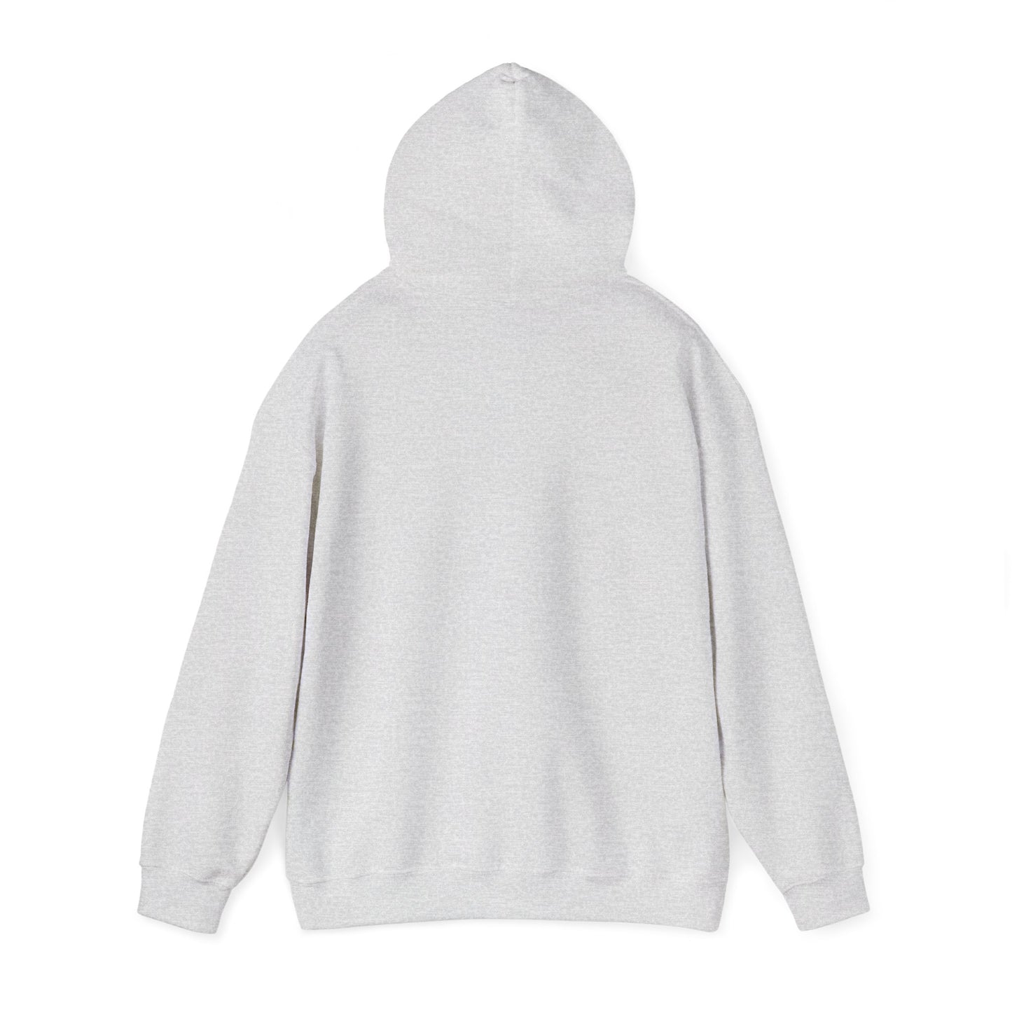 Inspirational Lion Hoodie - Perfect for Spiritual Leaders, Ministry Events, Gifts, Comfort Wear, Casual Outings