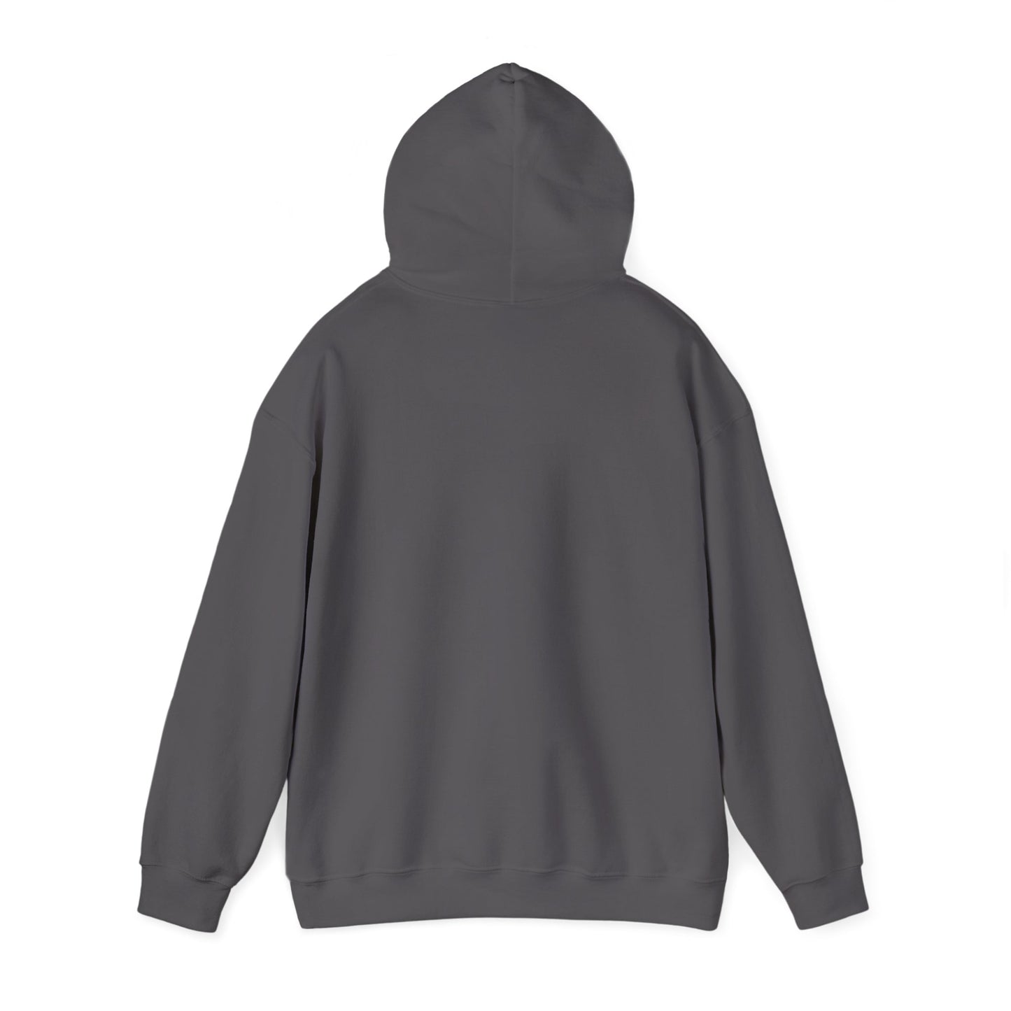 Inspirational Lion Hoodie - Perfect for Spiritual Leaders, Ministry Events, Gifts, Comfort Wear, Casual Outings