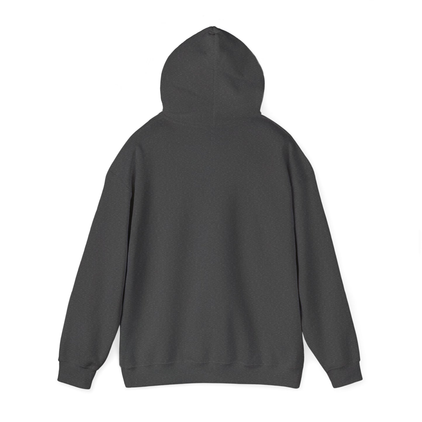 Inspirational Lion Hoodie - Perfect for Spiritual Leaders, Ministry Events, Gifts, Comfort Wear, Casual Outings