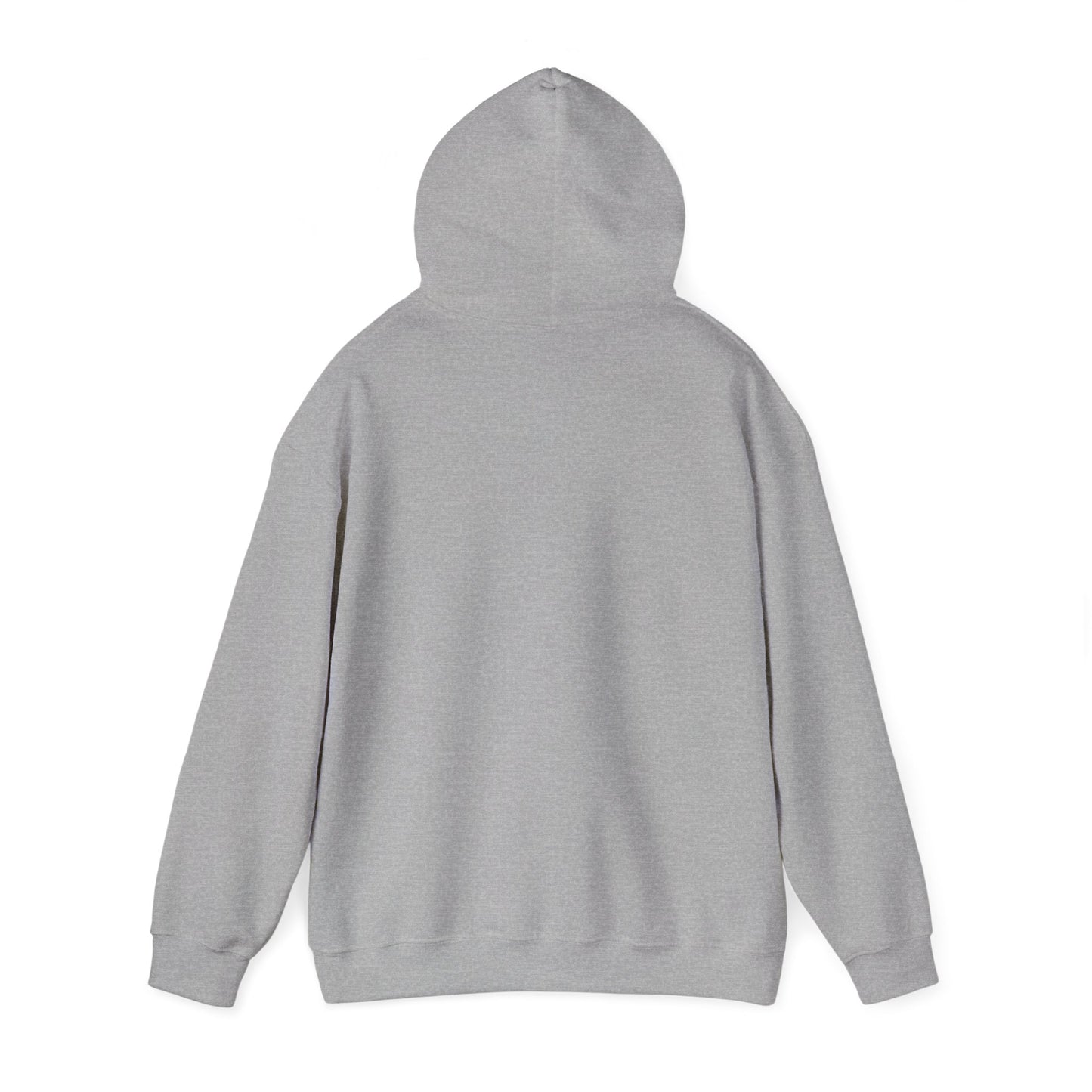 Inspirational Lion Hoodie - Perfect for Spiritual Leaders, Ministry Events, Gifts, Comfort Wear, Casual Outings