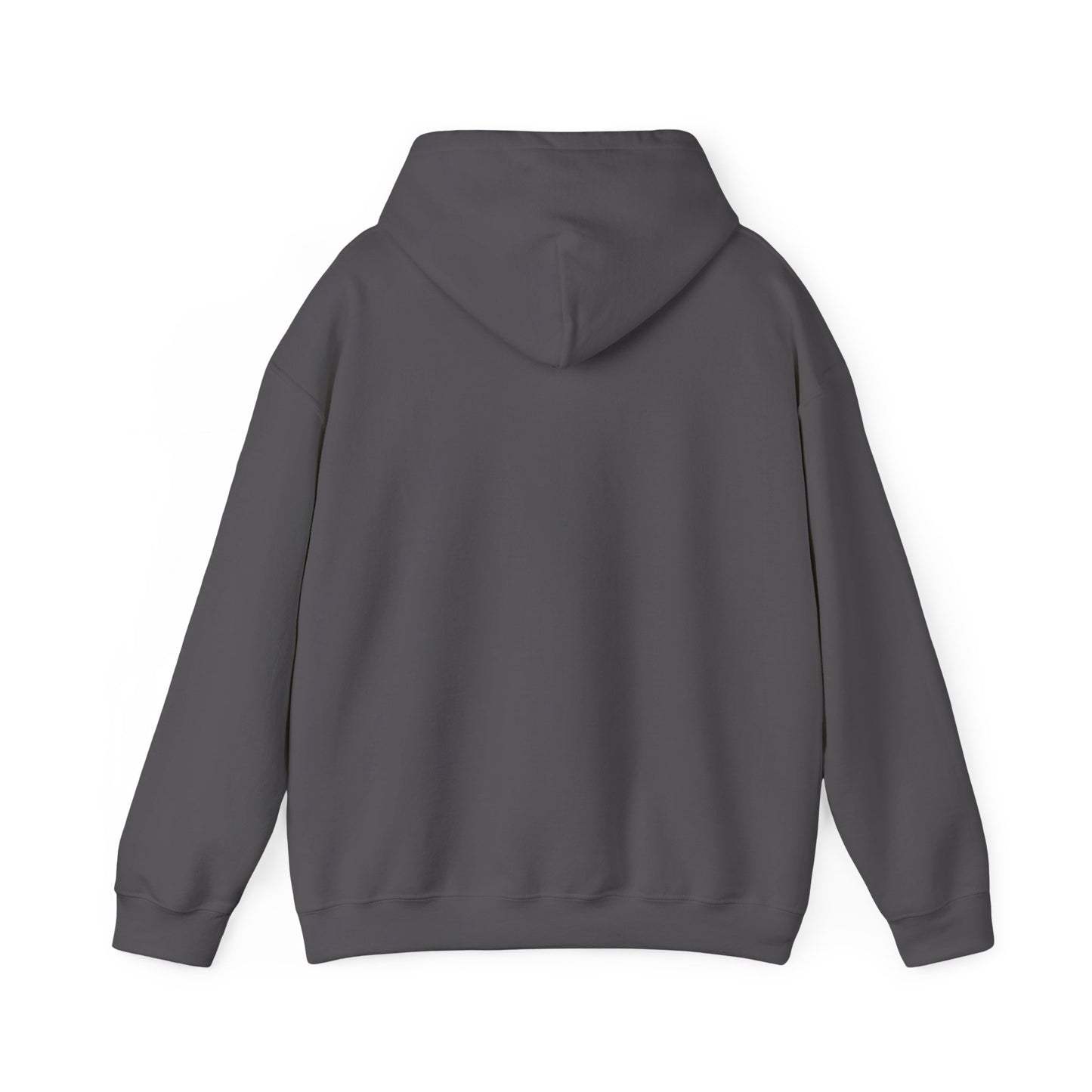 Inspirational Lion Hoodie - Perfect for Spiritual Leaders, Ministry Events, Gifts, Comfort Wear, Casual Outings