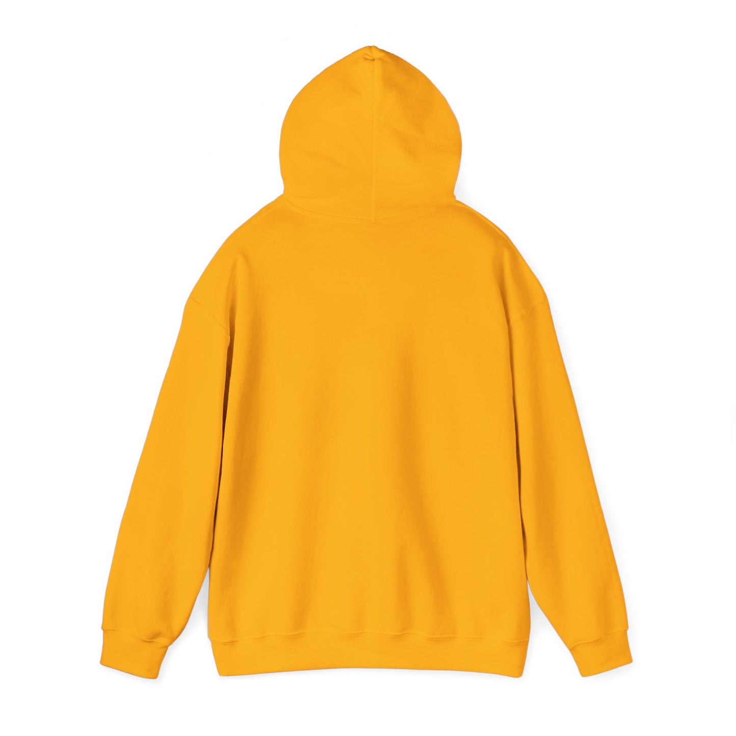 Inspirational Lion Hoodie - Perfect for Spiritual Leaders, Ministry Events, Gifts, Comfort Wear, Casual Outings