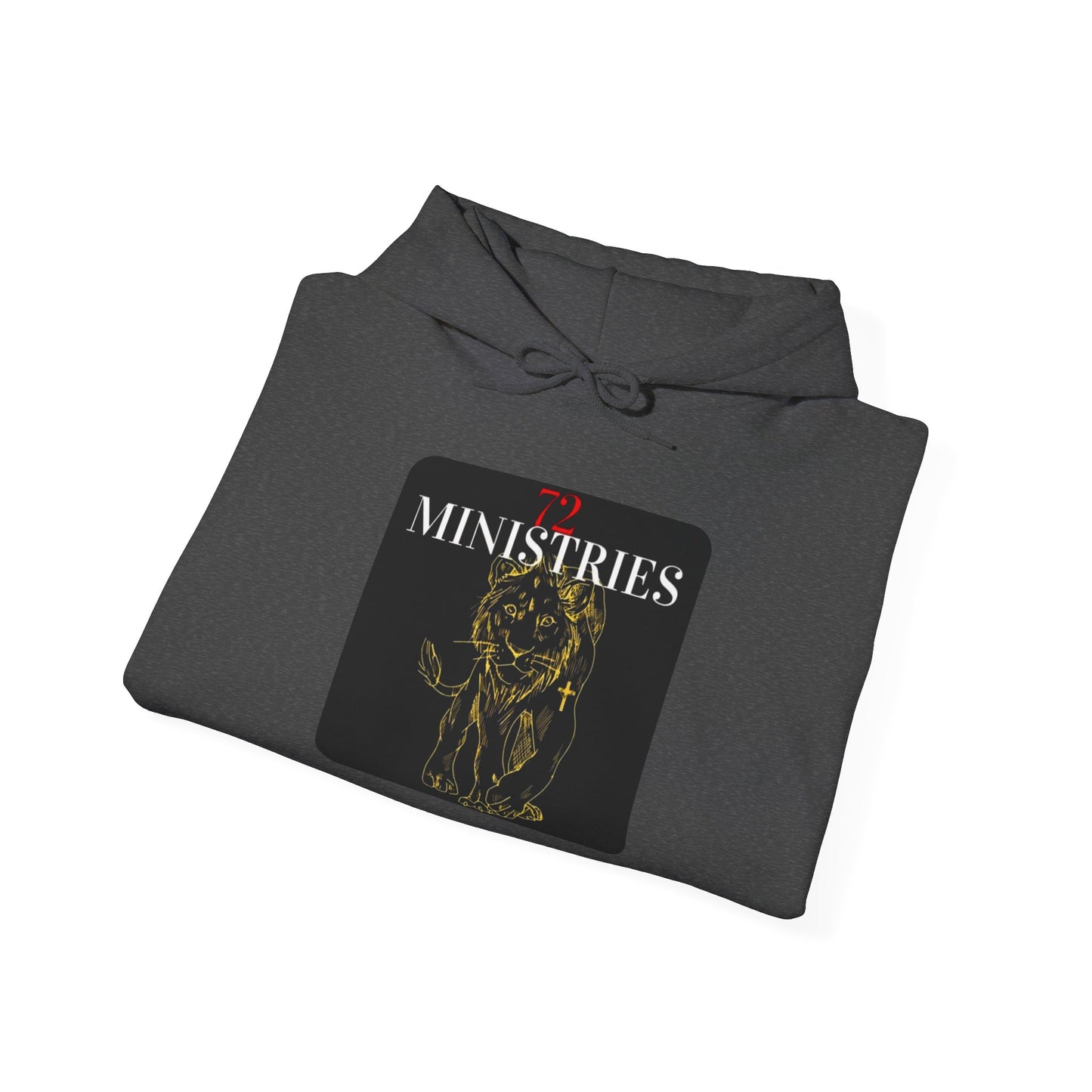 Inspirational Lion Hoodie - Perfect for Spiritual Leaders, Ministry Events, Gifts, Comfort Wear, Casual Outings