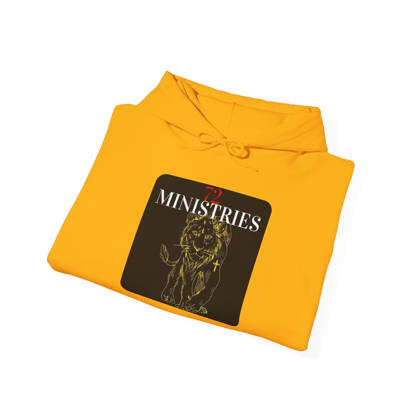 Inspirational Lion Hoodie - Perfect for Spiritual Leaders, Ministry Events, Gifts, Comfort Wear, Casual Outings