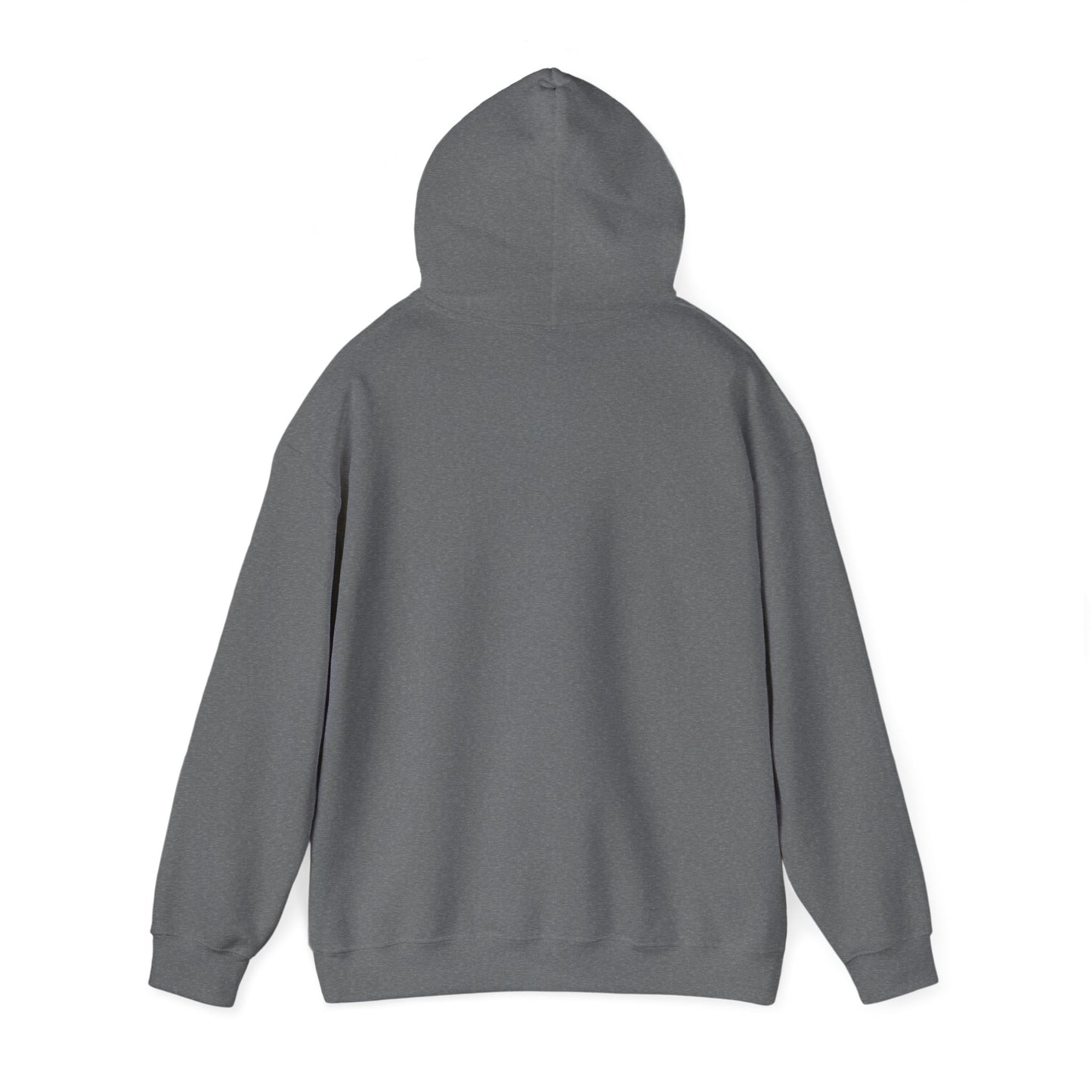 Inspirational Lion Hoodie - Perfect for Spiritual Leaders, Ministry Events, Gifts, Comfort Wear, Casual Outings